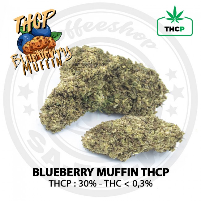 Fleurs THCP Blueberry Muffin