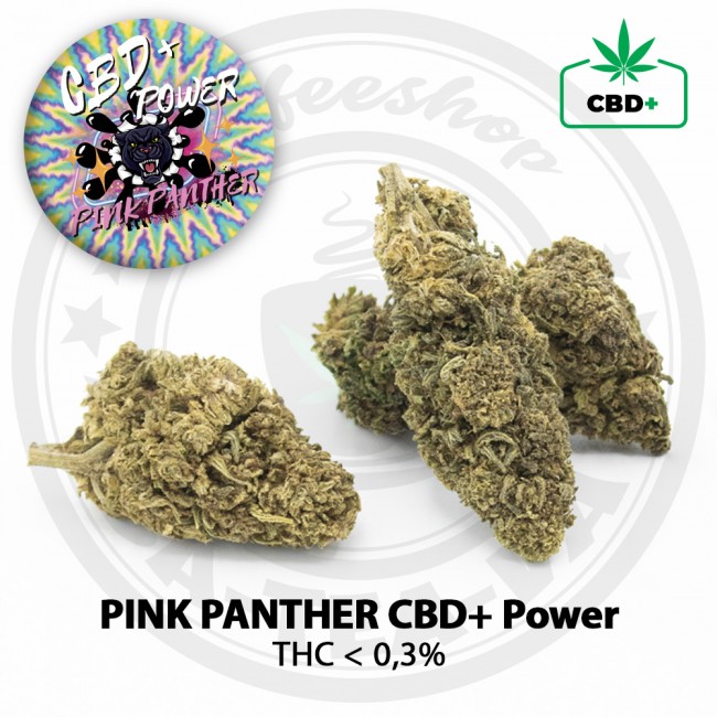 Fleurs PINK PANTHER CBD+ Power