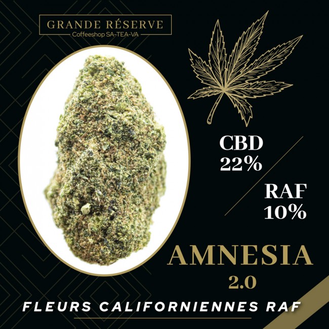 Fleurs CBD Amnesia 2.0 RAF