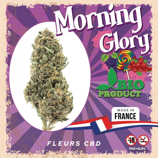 Fleurs CBD MORNING GLORY BIO