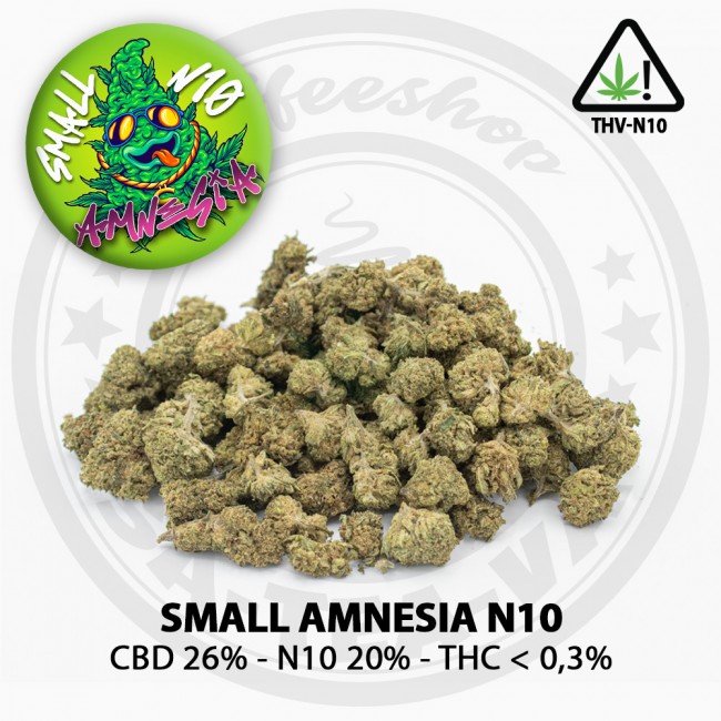 Fleurs SMALL AMNESIA THV-N10