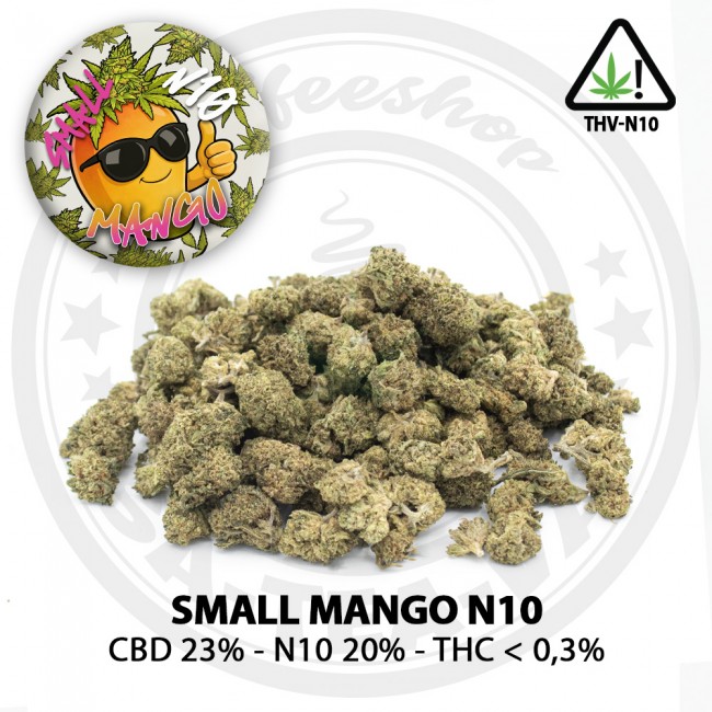Fleurs SMALL MANGO THV-N10