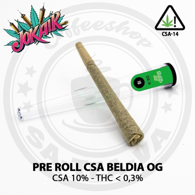Pré-roulé BELDIA OG CSA