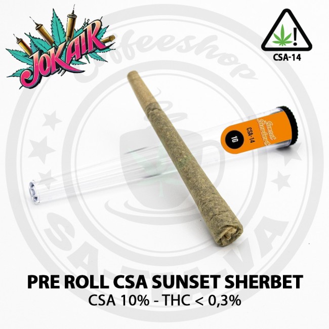 Pré-roulé SUNSET SHERBET CSA