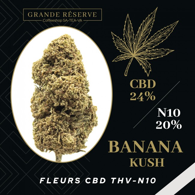 Fleurs CBD BANANA KUSH THV-N10