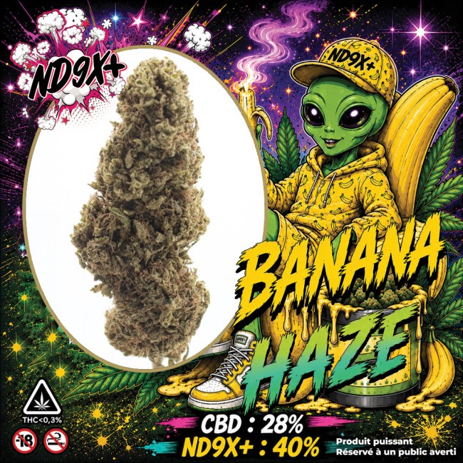Fleurs CBD BANANA HAZE ND9X+